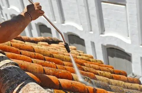 Nettoyage de toitures - Bagnolet